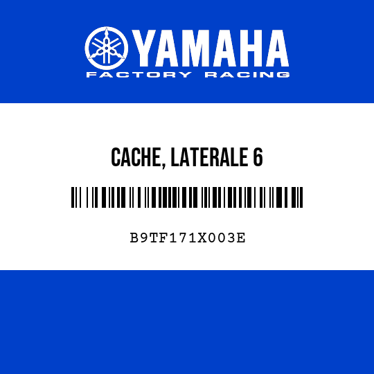 CACHE, LATERALE 6