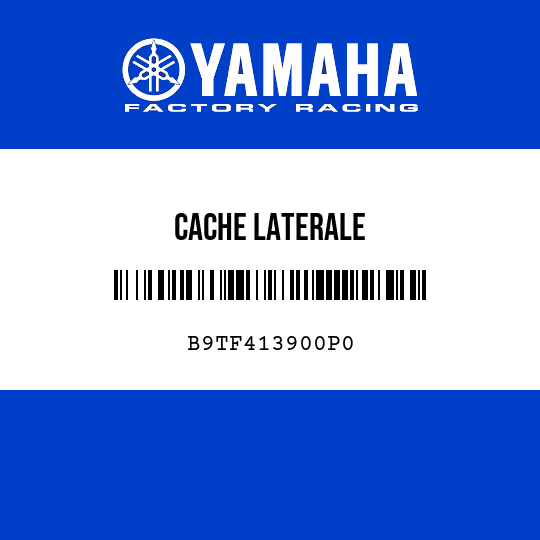 CACHE LATERALE