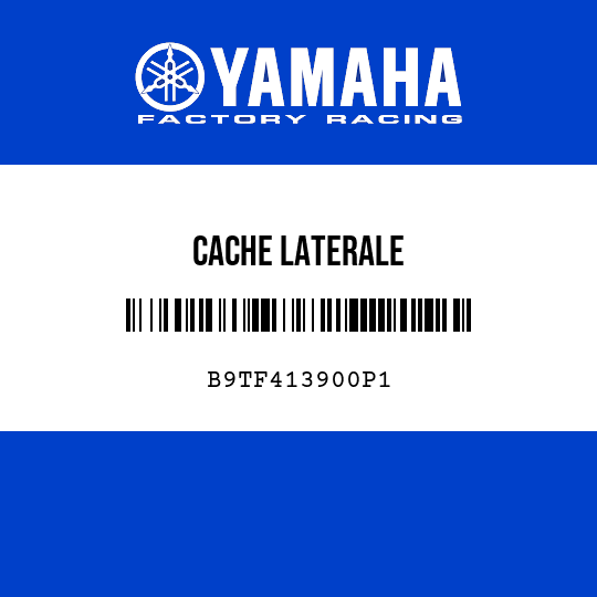 CACHE LATERALE