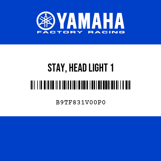 STAY, HEAD LIGHT 1