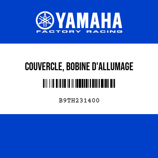 COUVERCLE, BOBINE D'ALLUMAGE