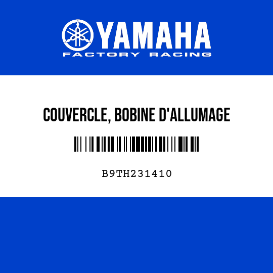COUVERCLE, BOBINE D'ALLUMAGE