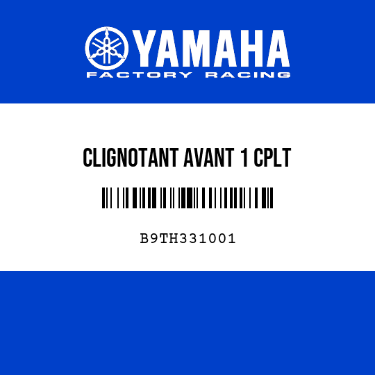 CLIGNOTANT AVANT 1 CPLT