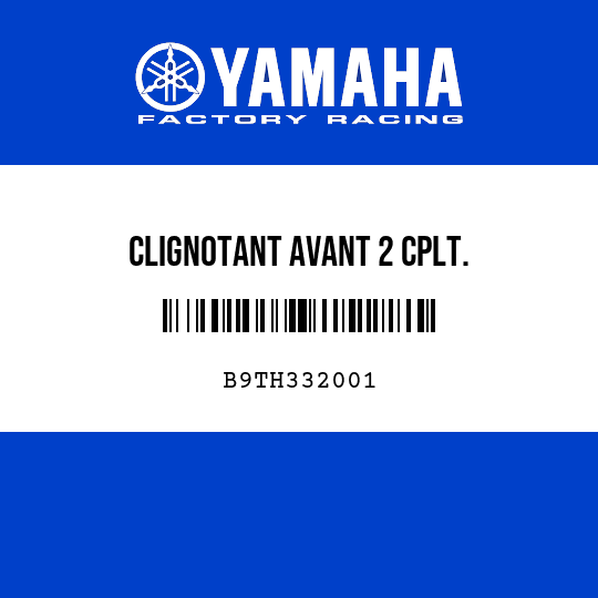 CLIGNOTANT AVANT 2 CPLT.