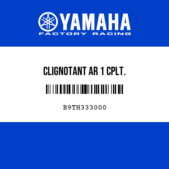 CLIGNOTANT AR 1 CPLT.