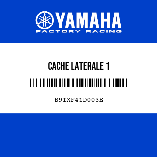 CACHE LATERALE 1