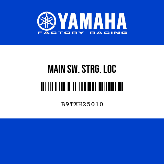 MAIN SW. STRG. LOC