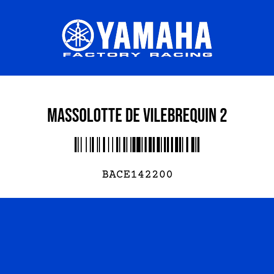 MASSOLOTTE DE VILEBREQUIN 2