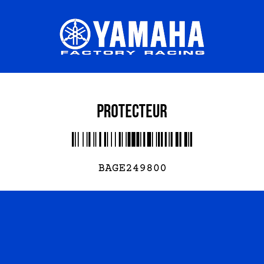 PROTECTEUR