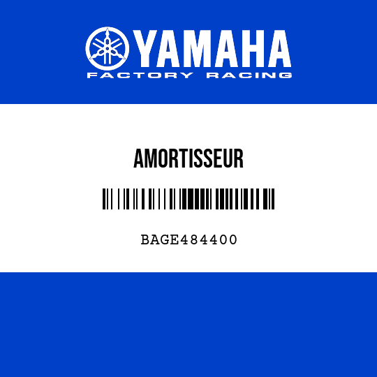 AMORTISSEUR