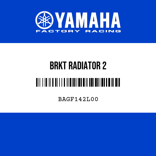 BRKT RADIATOR 2