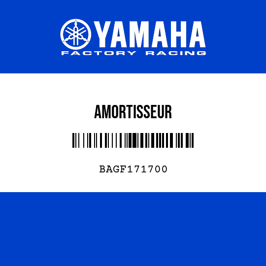 AMORTISSEUR