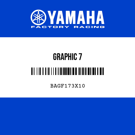 GRAPHIC 7