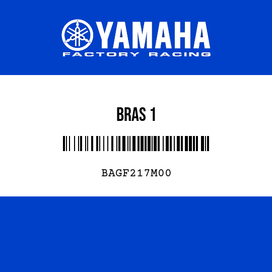 BRAS 1
