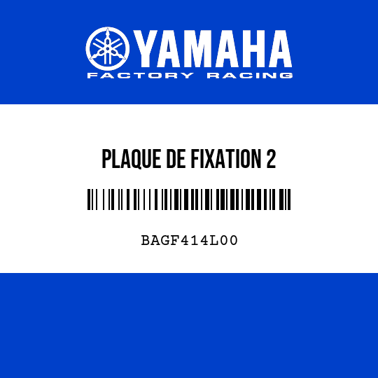 PLAQUE DE FIXATION 2