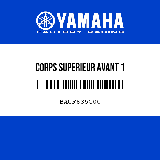 CORPS SUPERIEUR AVANT 1