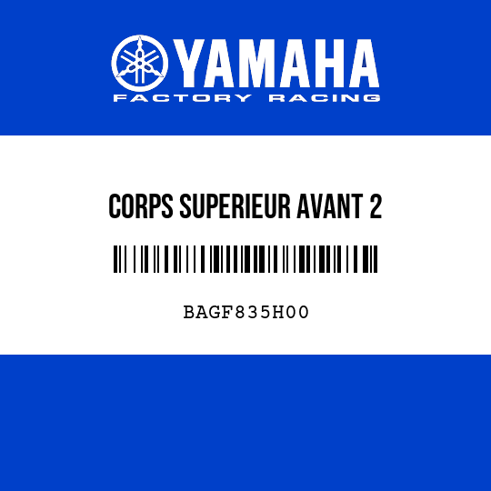 CORPS SUPERIEUR AVANT 2