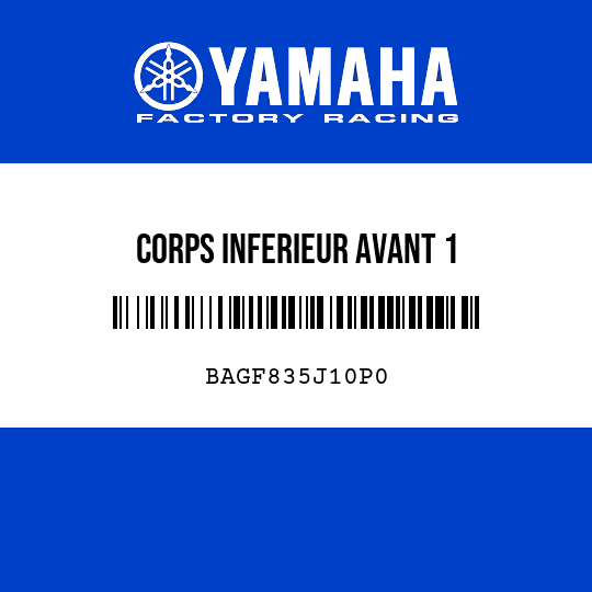 CORPS INFERIEUR AVANT 1