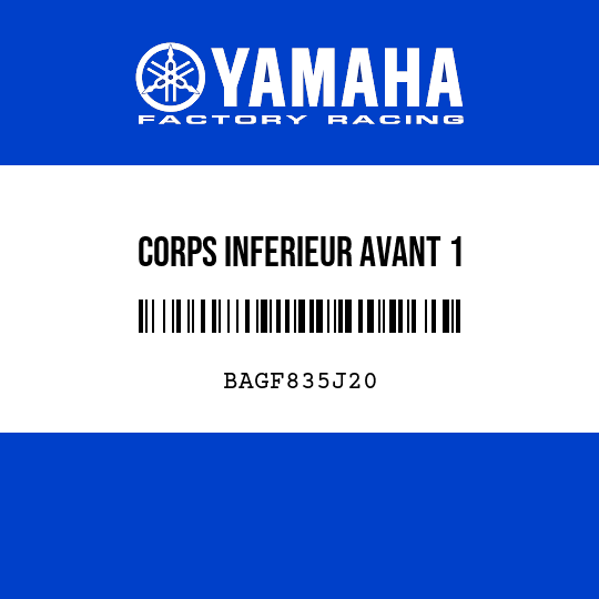 CORPS INFERIEUR AVANT 1
