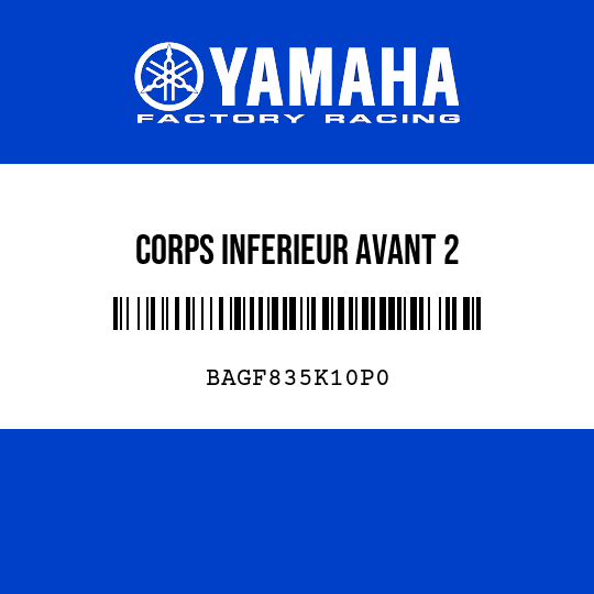 CORPS INFERIEUR AVANT 2