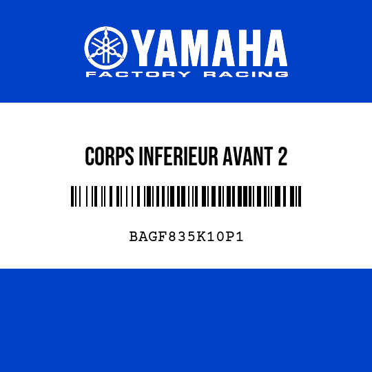 CORPS INFERIEUR AVANT 2