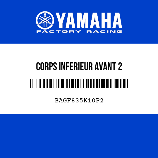 CORPS INFERIEUR AVANT 2