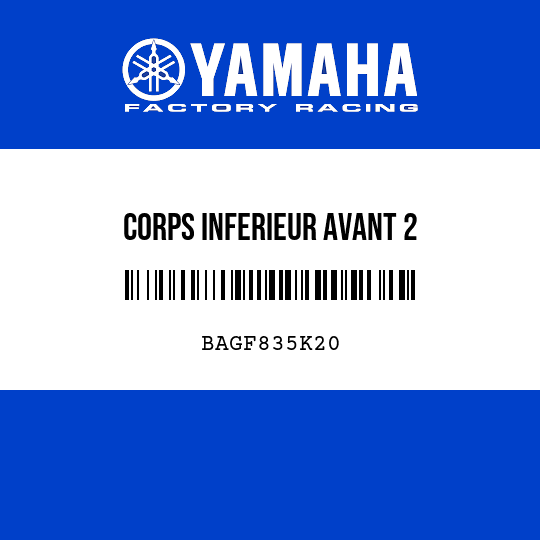 CORPS INFERIEUR AVANT 2