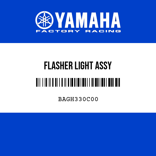 FLASHER LIGHT ASSY