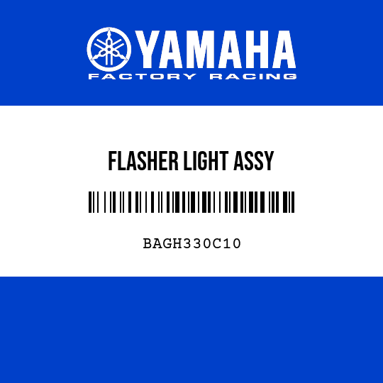 FLASHER LIGHT ASSY