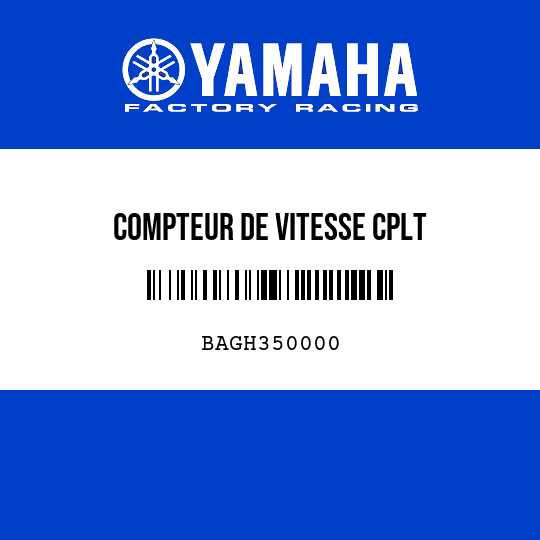COMPTEUR DE VITESSE CPLT