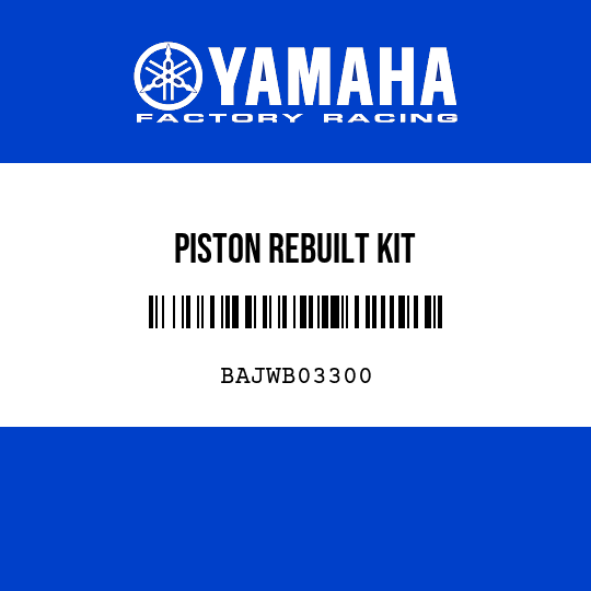 PISTON REBUILT KIT