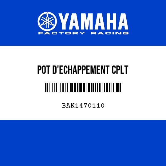 POT D'ECHAPPEMENT CPLT