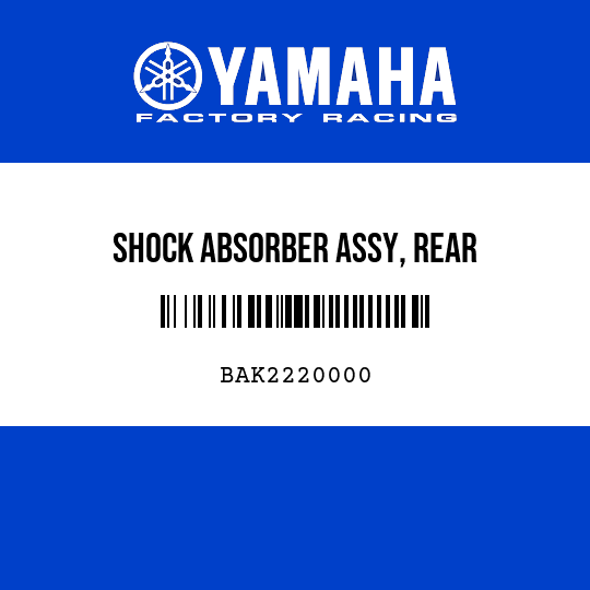 SHOCK ABSORBER ASSY, REAR