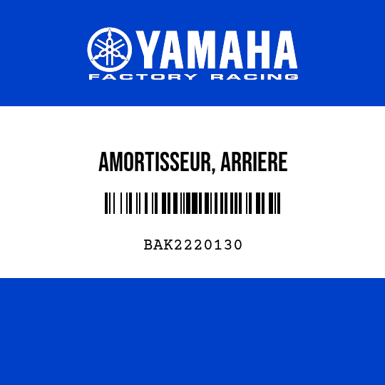 AMORTISSEUR, ARRIERE