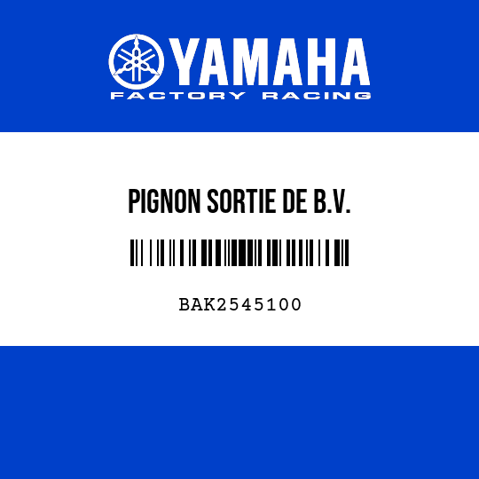 PIGNON SORTIE DE B.V.
