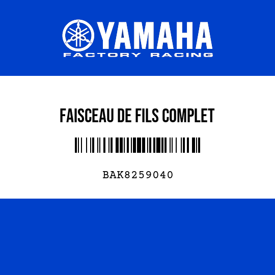FAISCEAU DE FILS COMPLET