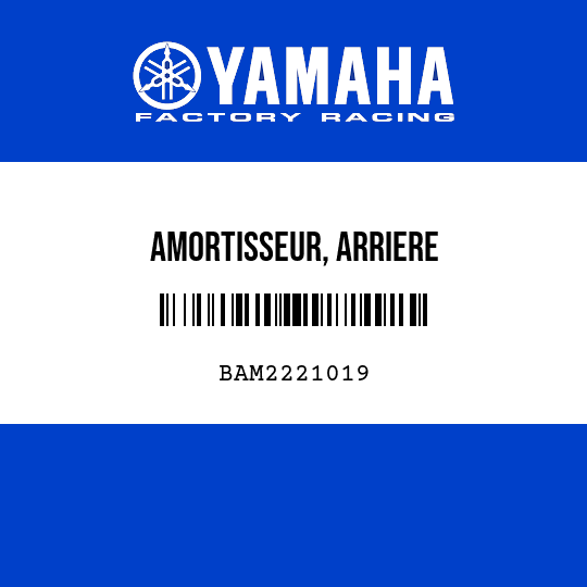 AMORTISSEUR, ARRIERE