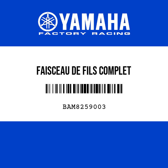 FAISCEAU DE FILS COMPLET