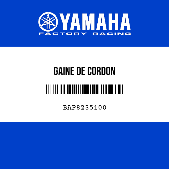 GAINE DE CORDON