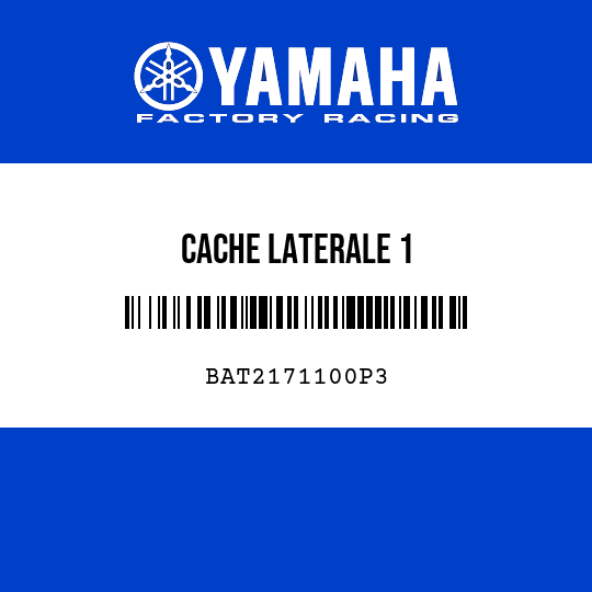 CACHE LATERALE 1