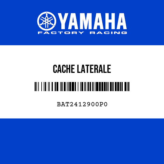 CACHE LATERALE