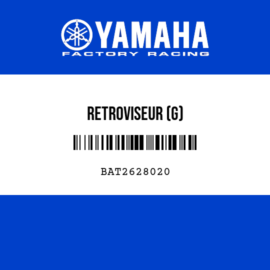 RETROVISEUR (G)