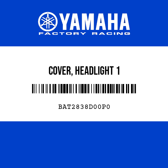 COVER, HEADLIGHT 1
