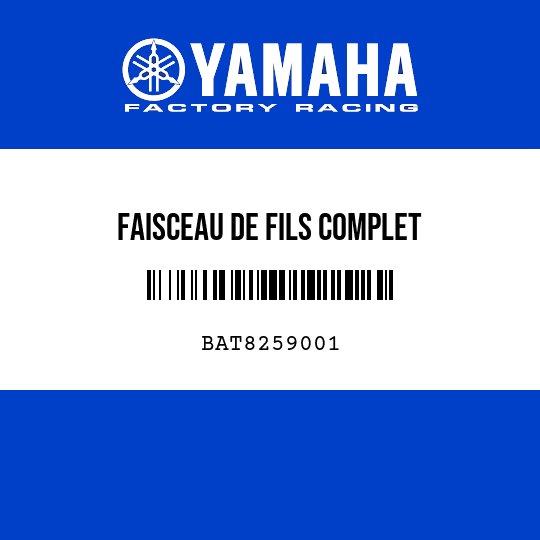 FAISCEAU DE FILS COMPLET