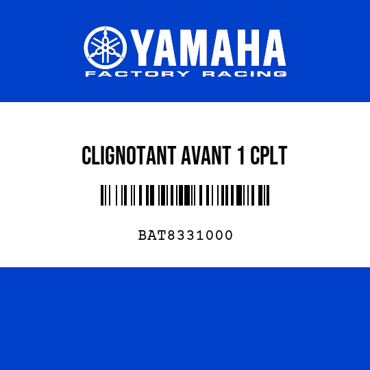 CLIGNOTANT AVANT 1 CPLT