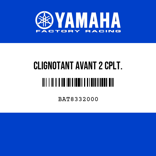CLIGNOTANT AVANT 2 CPLT.