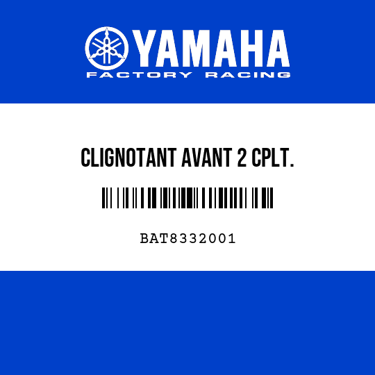 CLIGNOTANT AVANT 2 CPLT.