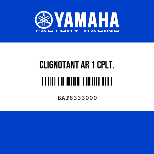 CLIGNOTANT AR 1 CPLT.
