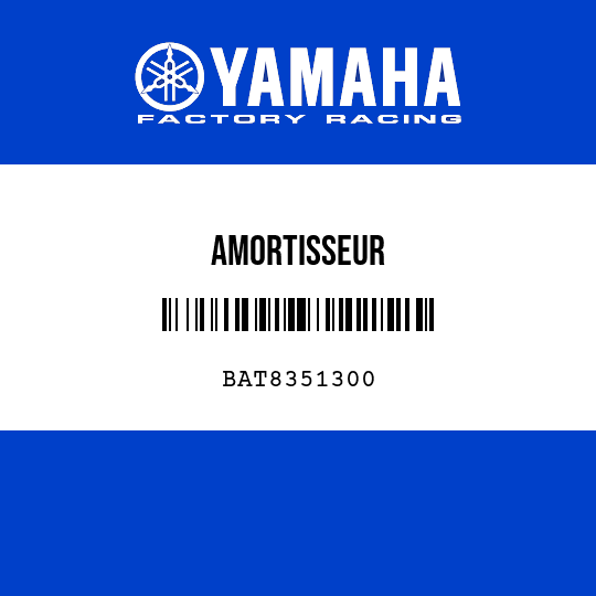 AMORTISSEUR