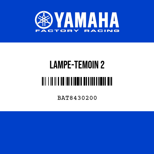 LAMPE-TEMOIN 2